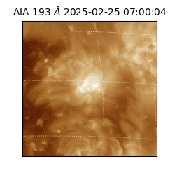 saia - 2025-02-25T07:00:04.844000