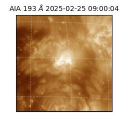 saia - 2025-02-25T09:00:04.843000