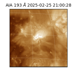 saia - 2025-02-25T21:00:28.843000