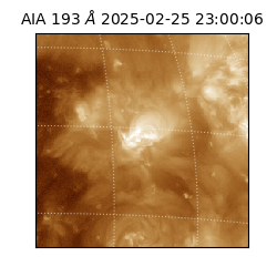 saia - 2025-02-25T23:00:06.936000