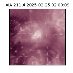 saia - 2025-02-25T02:00:09.630000