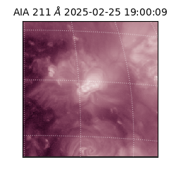 saia - 2025-02-25T19:00:09.625000