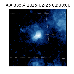 saia - 2025-02-25T01:00:00.625000