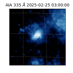 saia - 2025-02-25T03:00:00.632000