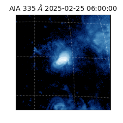 saia - 2025-02-25T06:00:00.625000