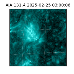 saia - 2025-02-25T03:00:06.622000