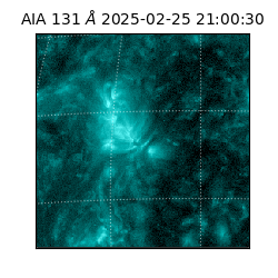 saia - 2025-02-25T21:00:30.622000