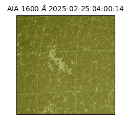 saia - 2025-02-25T04:00:14.125000