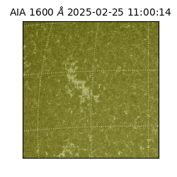 saia - 2025-02-25T11:00:14.129000