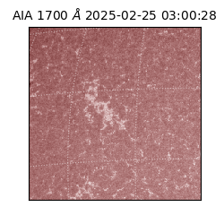 saia - 2025-02-25T03:00:28.717000