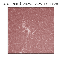 saia - 2025-02-25T17:00:28.734000