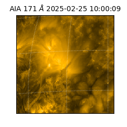 saia - 2025-02-25T10:00:09.350000