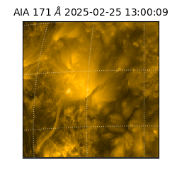 saia - 2025-02-25T13:00:09.350000