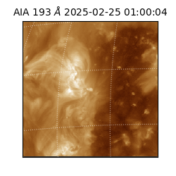 saia - 2025-02-25T01:00:04.846000