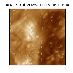 saia - 2025-02-25T06:00:04.835000