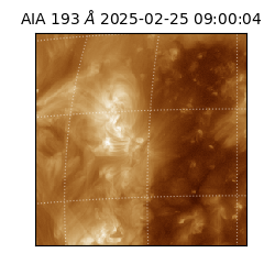 saia - 2025-02-25T09:00:04.843000