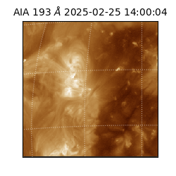 saia - 2025-02-25T14:00:04.843000