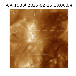 saia - 2025-02-25T19:00:04.843000