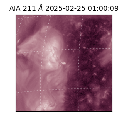 saia - 2025-02-25T01:00:09.626000