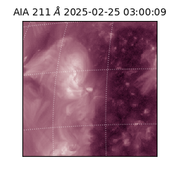 saia - 2025-02-25T03:00:09.631000