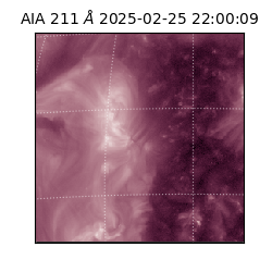 saia - 2025-02-25T22:00:09.626000