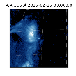 saia - 2025-02-25T08:00:00.625000