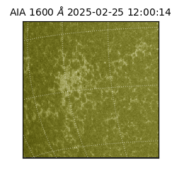 saia - 2025-02-25T12:00:14.126000