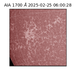 saia - 2025-02-25T06:00:28.709000