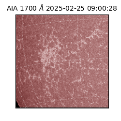 saia - 2025-02-25T09:00:28.721000