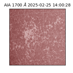 saia - 2025-02-25T14:00:28.741000