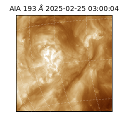 saia - 2025-02-25T03:00:04.846000