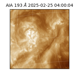 saia - 2025-02-25T04:00:04.846000