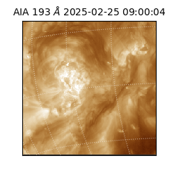 saia - 2025-02-25T09:00:04.843000