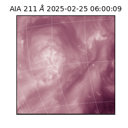 saia - 2025-02-25T06:00:09.618000