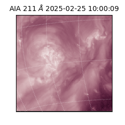 saia - 2025-02-25T10:00:09.626000