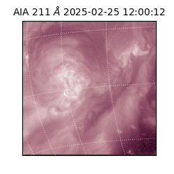 saia - 2025-02-25T12:00:12.445000