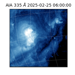 saia - 2025-02-25T06:00:00.625000