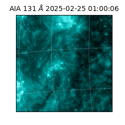 saia - 2025-02-25T01:00:06.622000