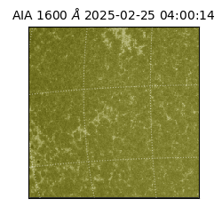 saia - 2025-02-25T04:00:14.125000