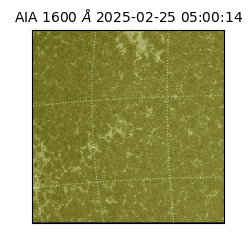 saia - 2025-02-25T05:00:14.126000