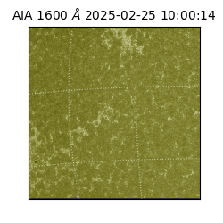 saia - 2025-02-25T10:00:14.125000