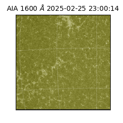 saia - 2025-02-25T23:00:14.126000