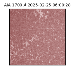 saia - 2025-02-25T06:00:28.709000