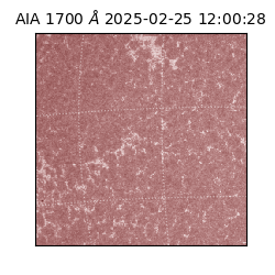 saia - 2025-02-25T12:00:28.717000