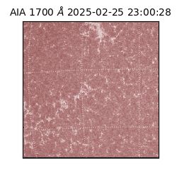 saia - 2025-02-25T23:00:28.717000