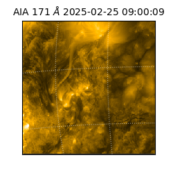 saia - 2025-02-25T09:00:09.351000