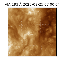 saia - 2025-02-25T07:00:04.844000