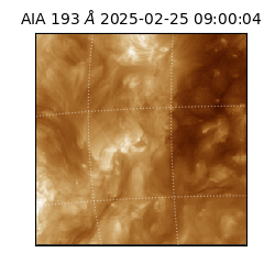 saia - 2025-02-25T09:00:04.843000