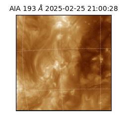 saia - 2025-02-25T21:00:28.843000