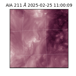 saia - 2025-02-25T11:00:09.630000